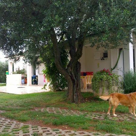 Apartment Free Parking Big Garden بيروغ المظهر الخارجي الصورة