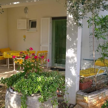 Apartment Free Parking Big Garden بيروغ المظهر الخارجي الصورة