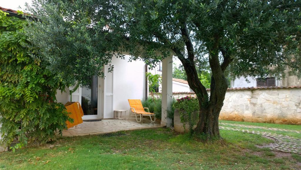 Apartment Free Parking Big Garden بيروغ الغرفة الصورة